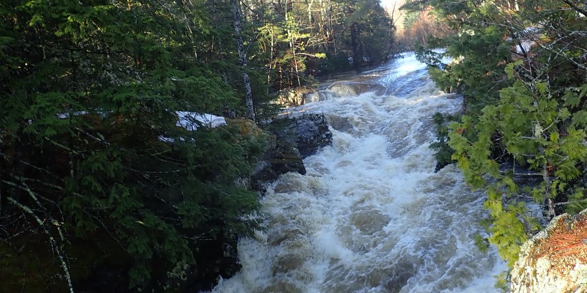 “Our community is a fishing community:” Michigan tribe seeks to set its own water standards