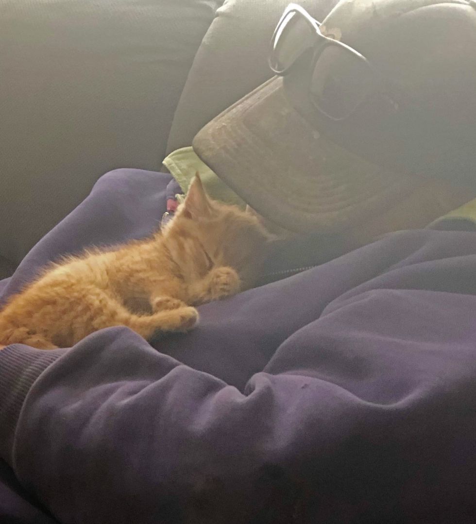 Little Girl Went to Shelter to Help Out But Ended Up Being Chosen by