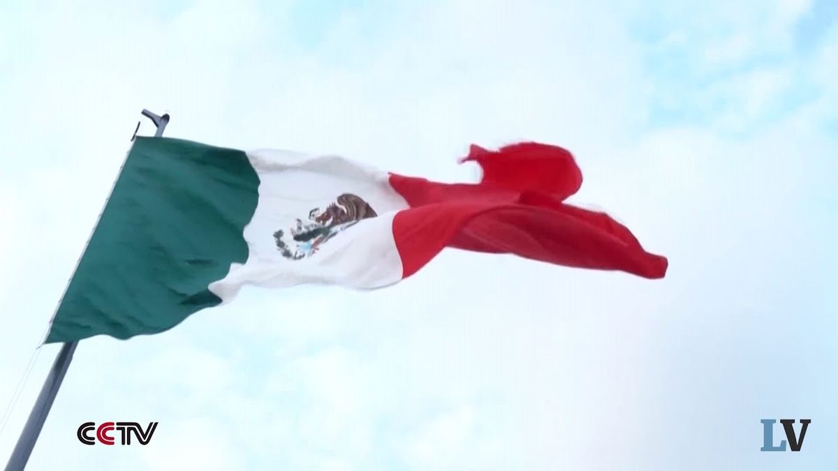 Novanta giorni per far calare il flusso di clandestini dal Messico. Sul muro si giocano le prossime presidenziali