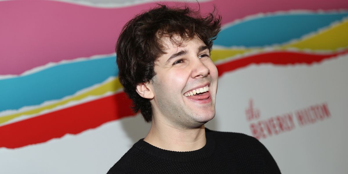 YouTuber David Dobrik Files For Divorce From His BFF's Mom