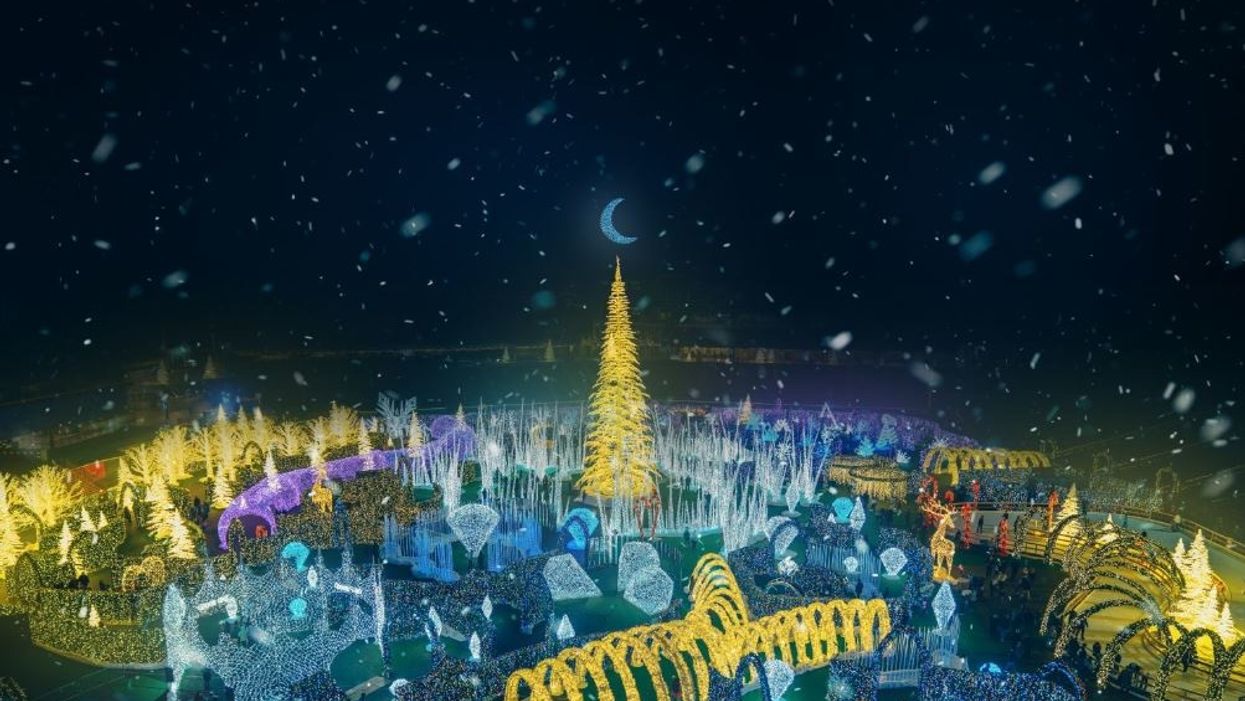 'World's largest Christmas light maze' coming to Florida this holiday season