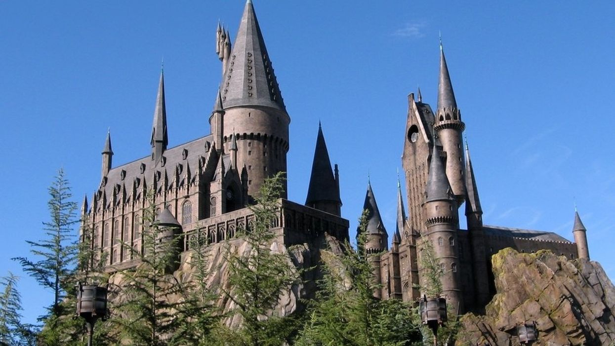Harry Potter fans wait 10 hours to ride Hagrid-themed coaster at Universal Orlando