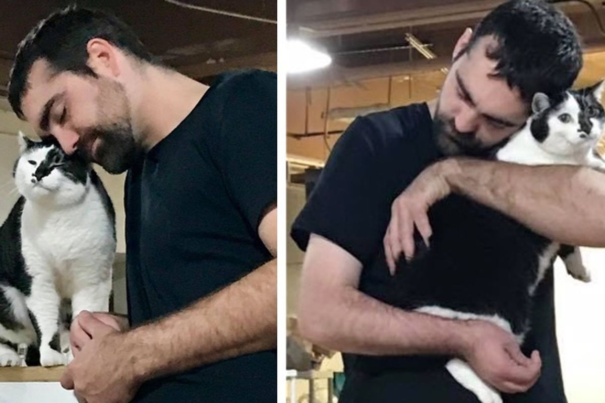 Man Who Wasn’t a Cat Guy Until He Started Volunteering, Finds a Kitty Who Missed His Family