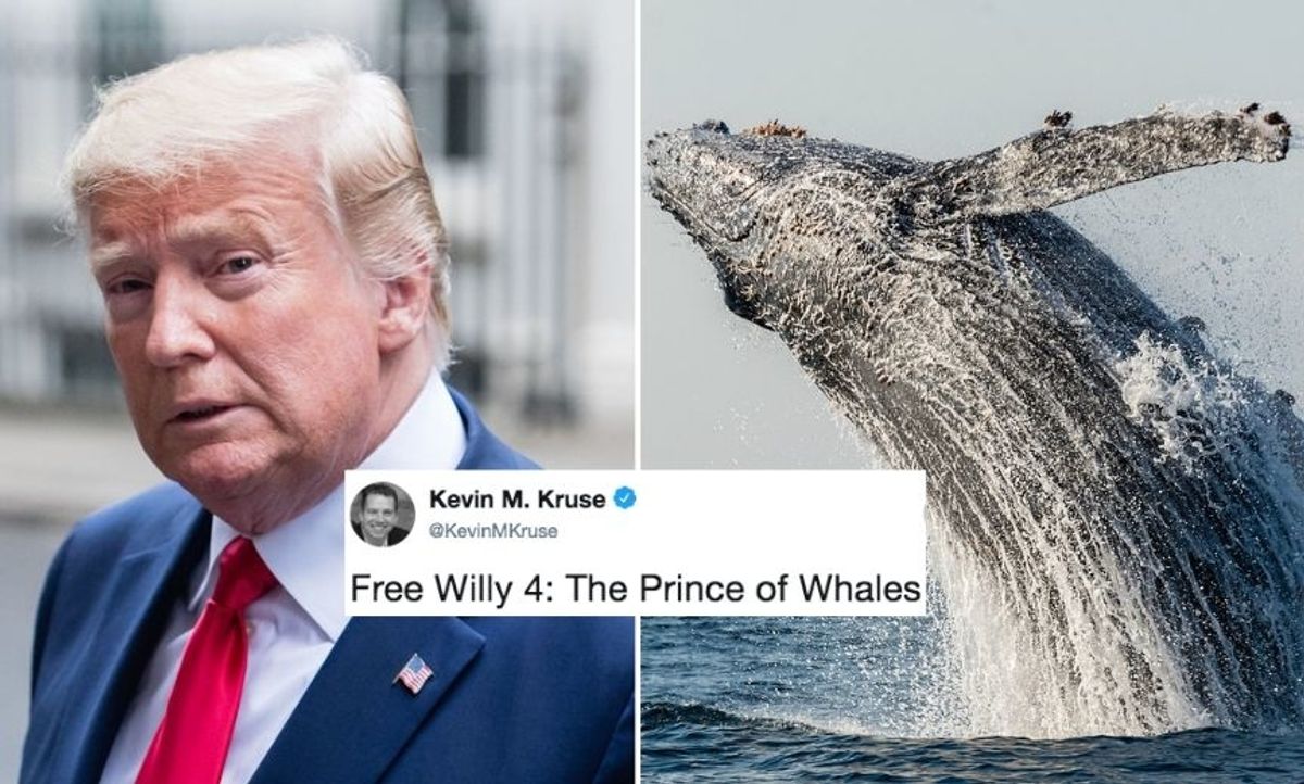 Trump's 'Prince Of Whales' Gaffe On Twitter Naturally Led To An Ocean Of Memes