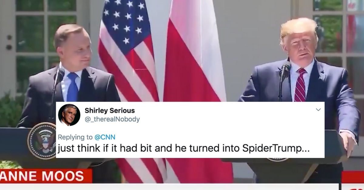 A Bizarre Spider Web Running Between Trump and The Polish President Stole The Show During A Recent Press Conference