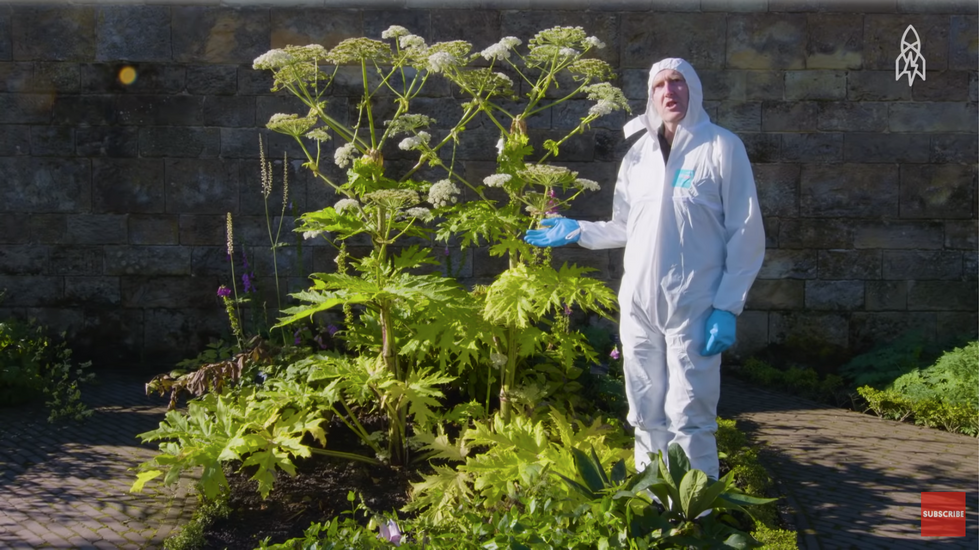 The World S Deadliest Garden Lies Inside An Ancient English Castle