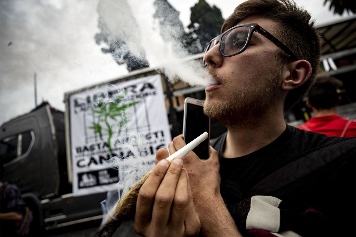 «La cannabis fa male e va proibita. Anche quella light»