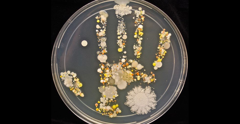 An 8-year-old's bacteria-filled handprint is the coolest thing I've seen all week.