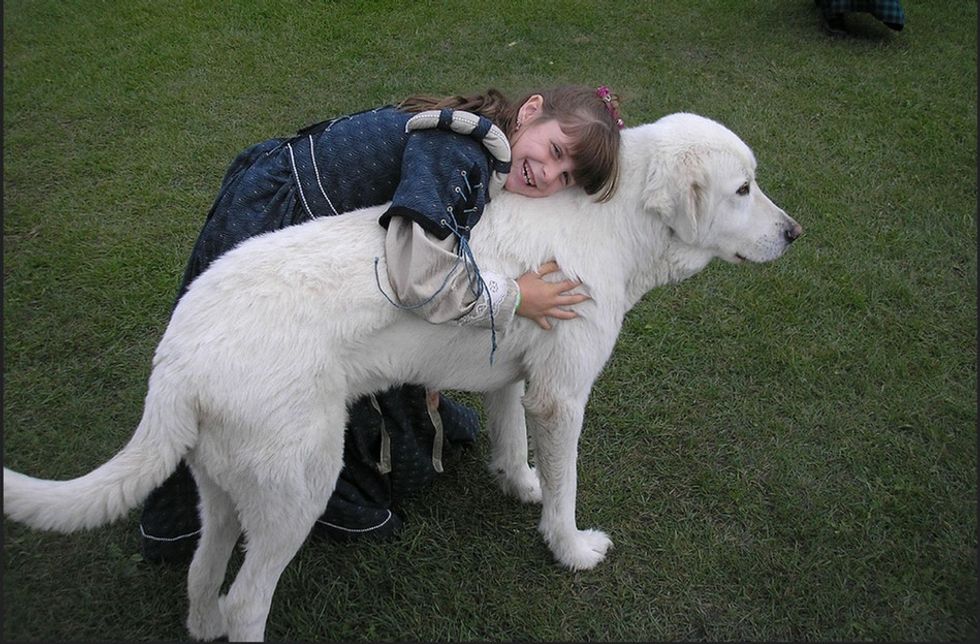 There's only 1 U.S. state that protects you after saving a child or pet from a hot car. Kudos.