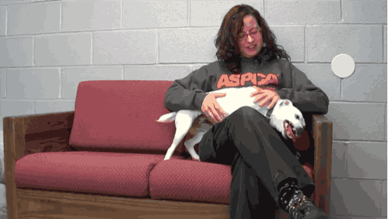 When This Puppy Mill Dog Was Rescued She Couldn T Stand Humans But Just Look At Her Now Upworthy When This Puppy Mill Dog Was Rescued She Couldn T Stand Humans But Just Look At Her Now Upworthy