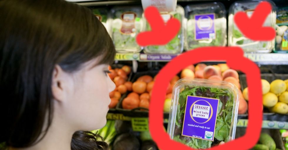 This is who we're feeding with our extra food. And you'll spit out your corn as soon as you know.