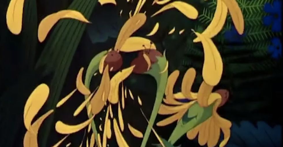 Flowers were extremely rare until they exploded about 90 million years ago. He explains why.