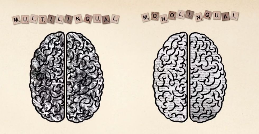 Didn't learn a second language as a kid? No worries. Here's why you might want to learn one anyway.