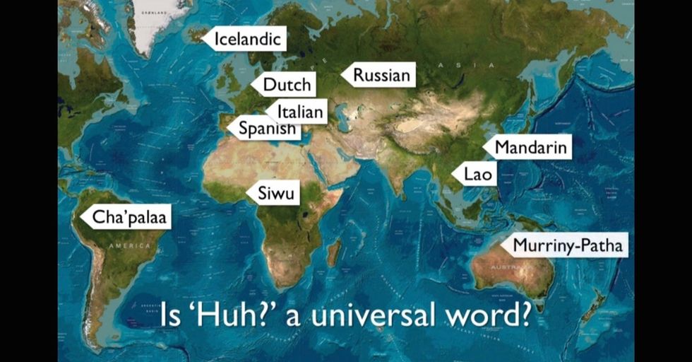 Turns out, everybody says 'huh' β or at least something pretty darn close.