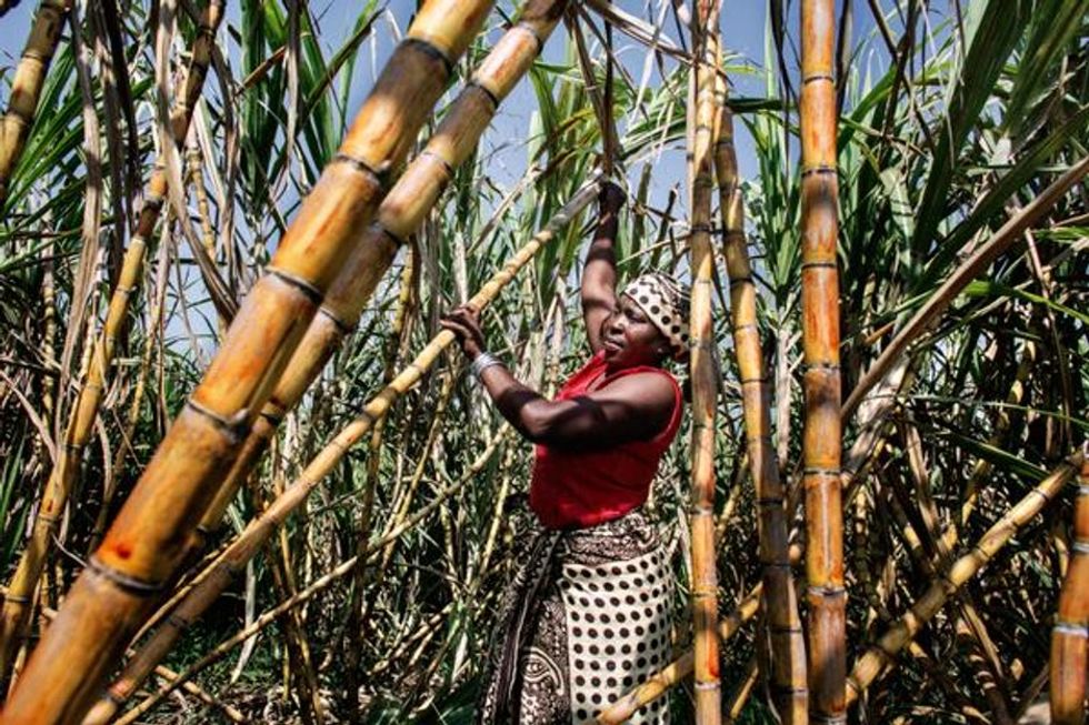 This Tanzanian reality show isn't your run-of-the-mill, cutthroat competition. It feeds villages.