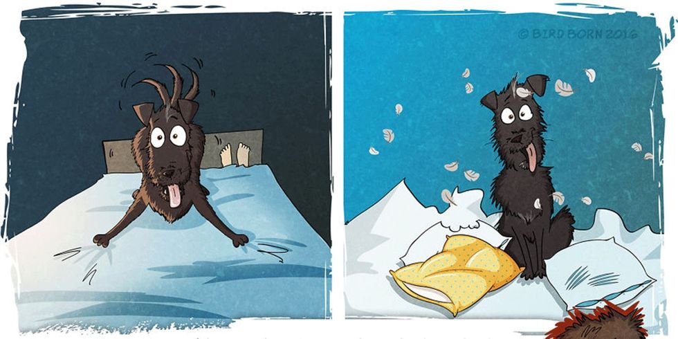What it’s like to adopt a dog, as told through a 14-part comic.