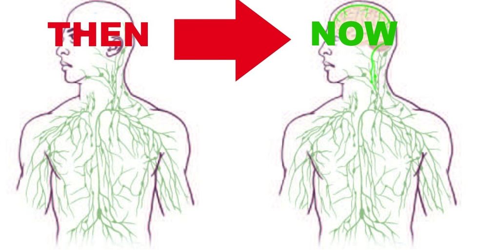 No big deal or anything. There's a whole hidden network in your body that scientists JUST discovered.
