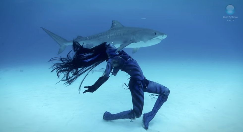 This professional mermaid is dancing with sharks to give the predators a PR boost.