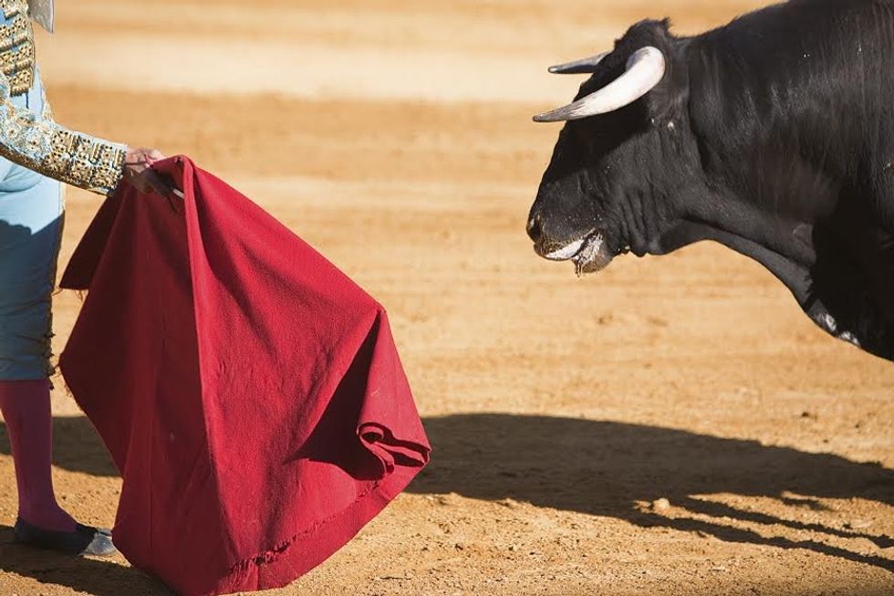 The running of the bulls seems like fun, except for the part where the bulls are killed inhumanely.