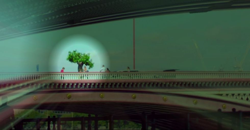 What's more dangerous, a city or a forest? Depends on if you're a tree.