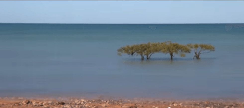 A time-lapse video that shows you how to breathe with the tide. It's wonderful.