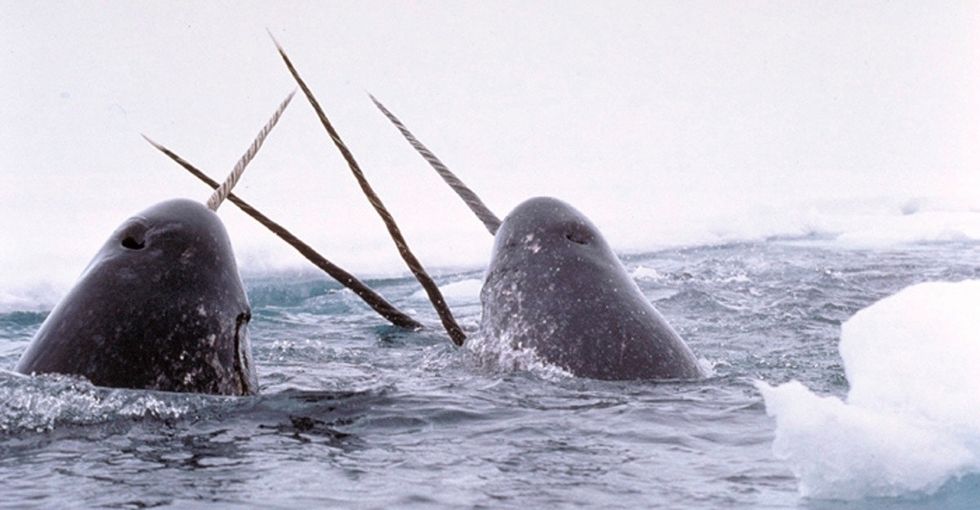 Believe there's nothing left in nature that can surprise you? Guess again.