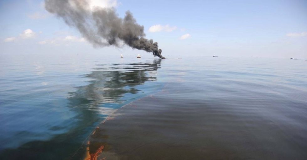 A whale interrupts a deep-sea expedition on the site of the largest oil spill in U.S. history.