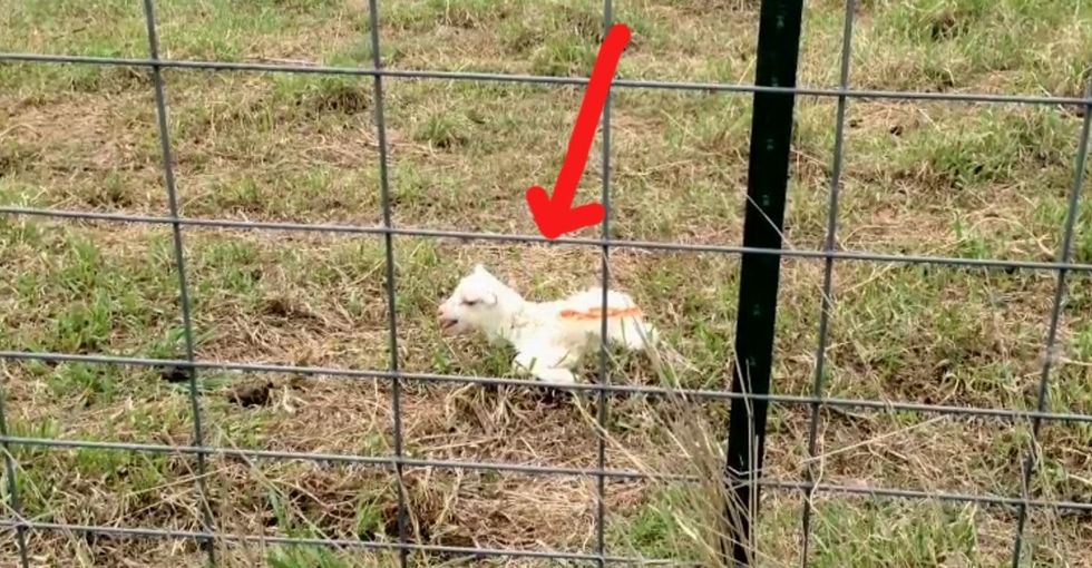 Thousands of animals have been unlucky enough to find themselves here. It's no place to be.