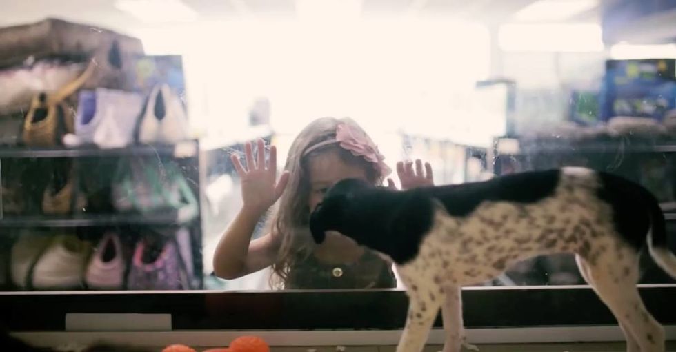 When a pet store's customers met their new pets, they had no idea they'd come from shelters.