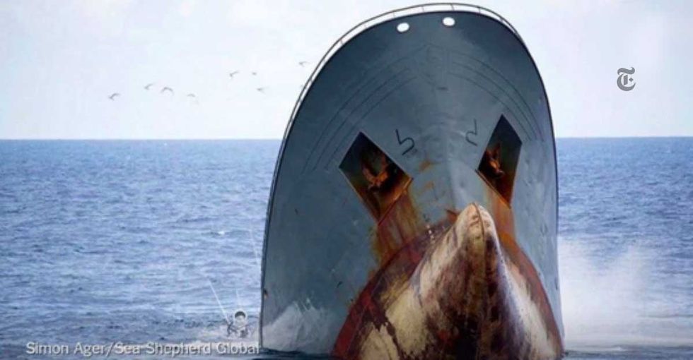 7 things to know about the world's oceans that could actually help human beings.