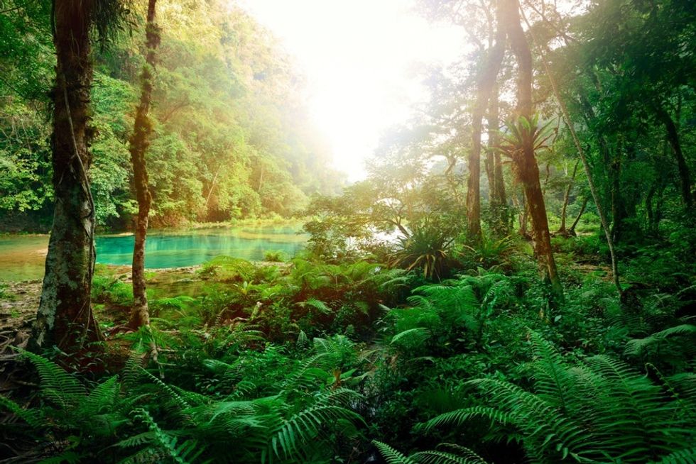 A dire warning comes in an Oscar winner's narration. Kevin Spacey is the Amazon rainforest.
