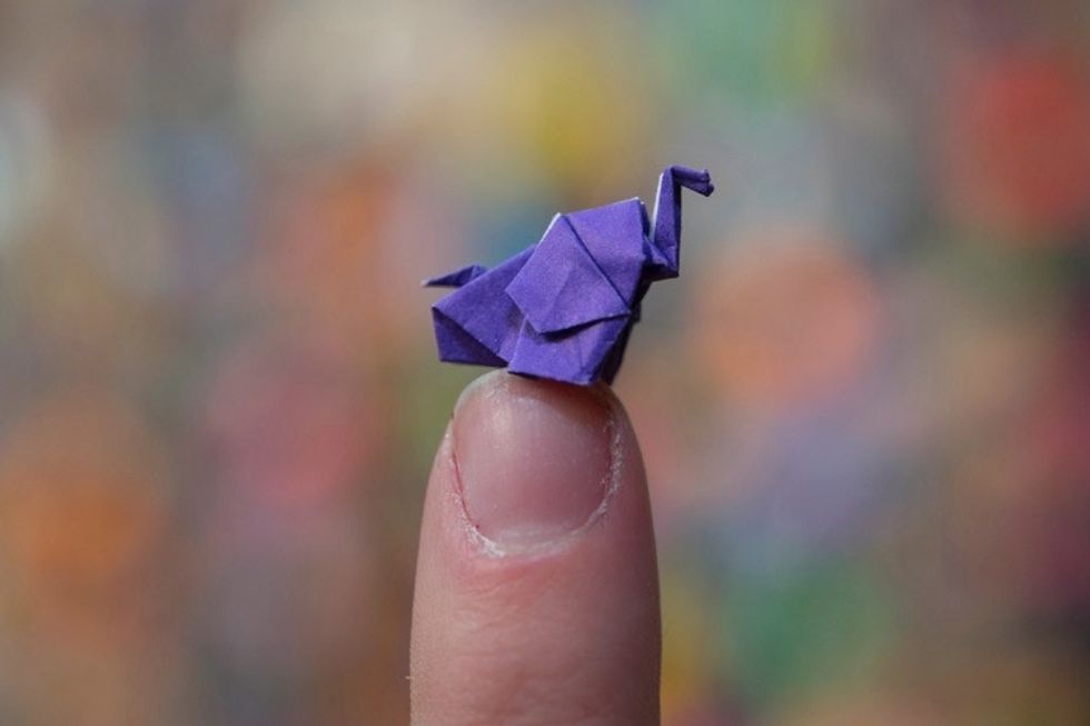 Theres A Guinness World Record For Origami Elephants The
