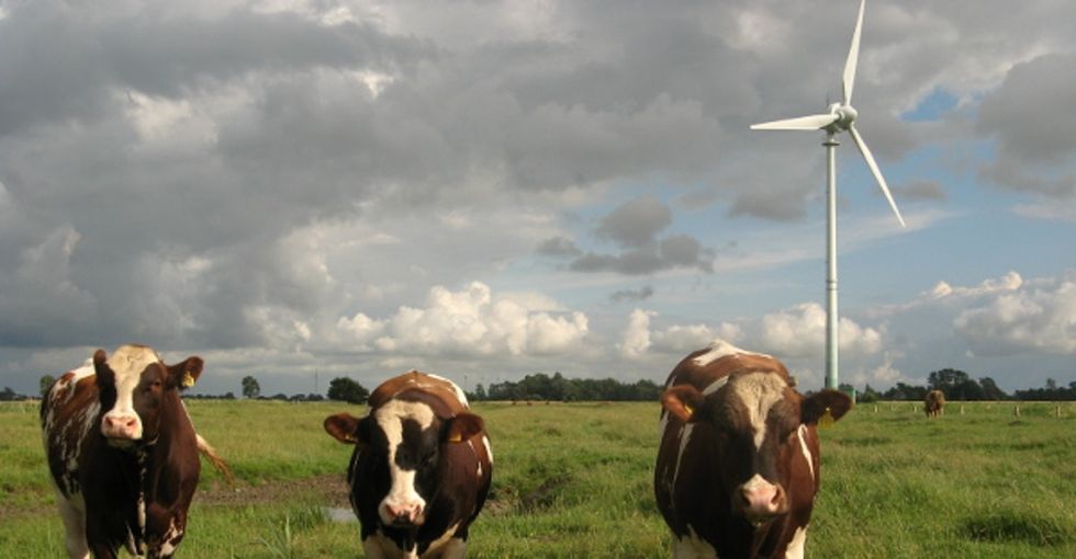 Great news for the environment: Wind power is the cheapest it's been in a long time.