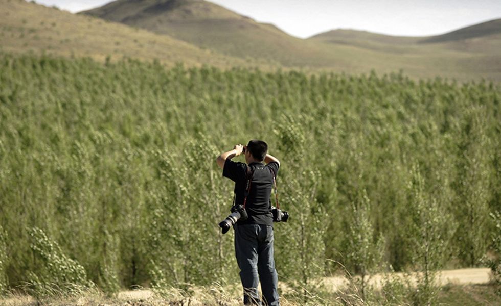 China is building another great wall — of trees. To hold back the desert.