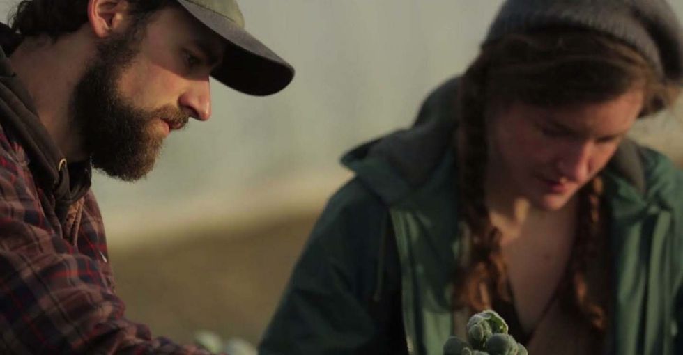 Farms may be dwindling, but a closer look shows a determined few defying the trend.