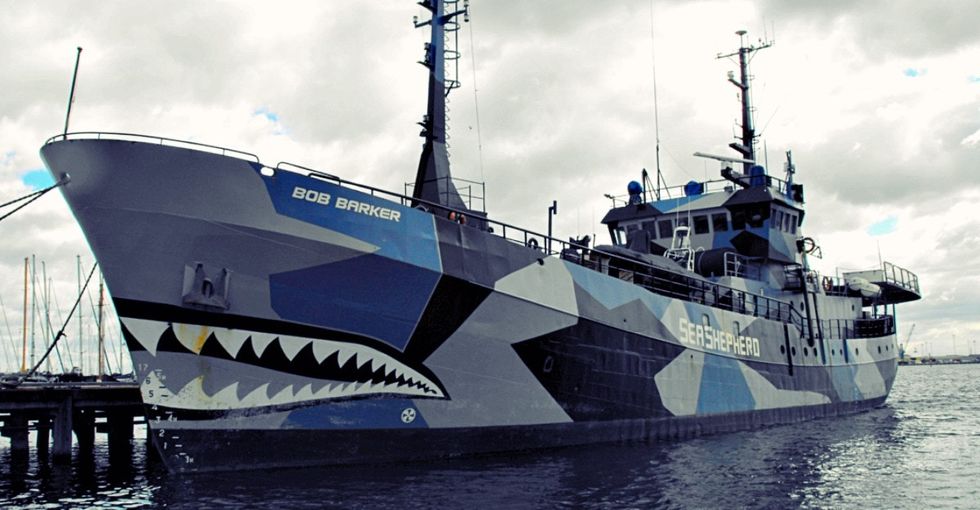 What do these 6 stars have in common? They fund sea vigilantes who take down evil sea criminals.