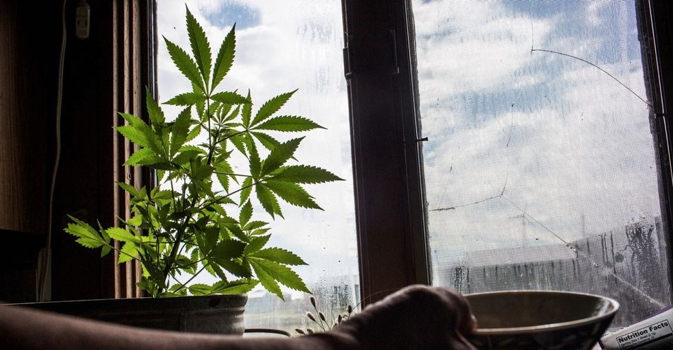 A soldier could face life in prison after being caught growing marijuana to treat his PTSD.