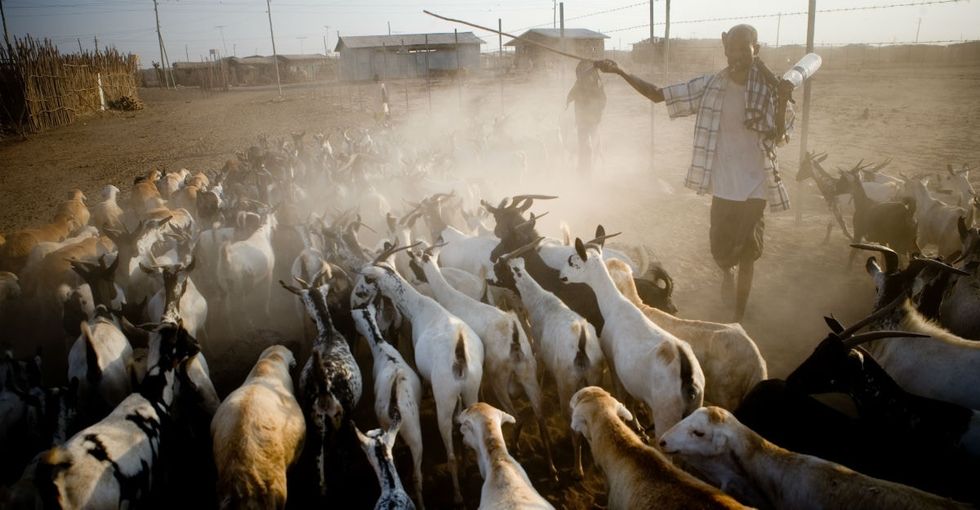 These impressive maps are helping to save farm animals from 22,000 miles above ground.