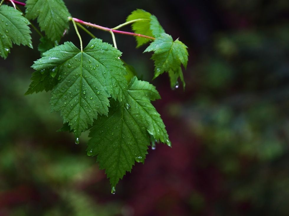 What if one of the Earth's natural recycling methods stopped working? Because that just happened.