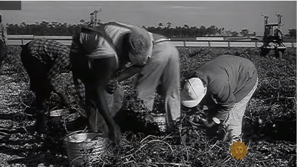Wendy's and Publix are the two biggest companies that haven't signed on for 'Fair Food.' What is it?