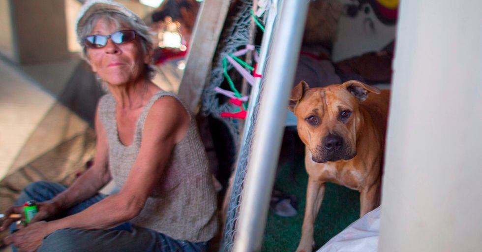 Finding help will get a lot easier for homeless people with this new app.