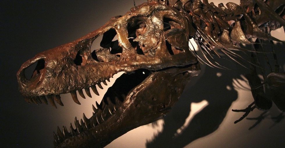 25 years ago, this dino was discovered. $8.4 million later, it was ready for the world to see.