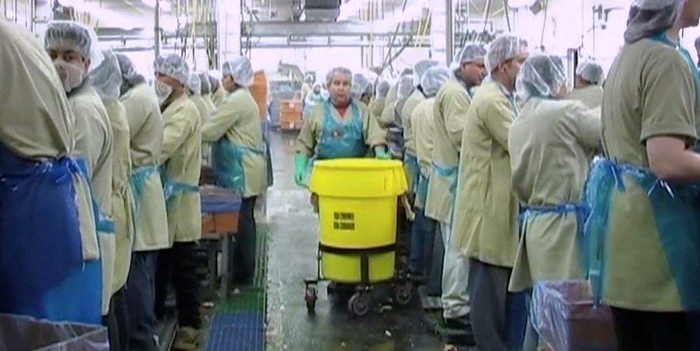 These are the actual people behind the chicken you eat. You won't forget them.