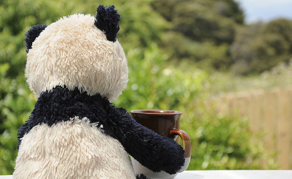 There's a travel agency that will take your stuffed animals on vacation.