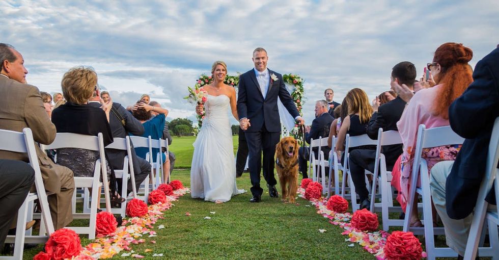 A service dog was best man at a veteran's wedding last year, and the photos are the best.