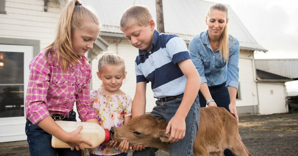A young mom running a dairy farm gives us a darling sneak peek behind the scenes.