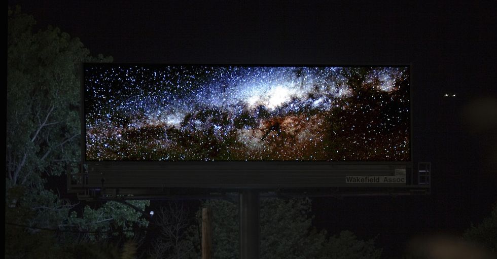 When an artist got his hands on these 2 billboards, they became windows to the natural world.