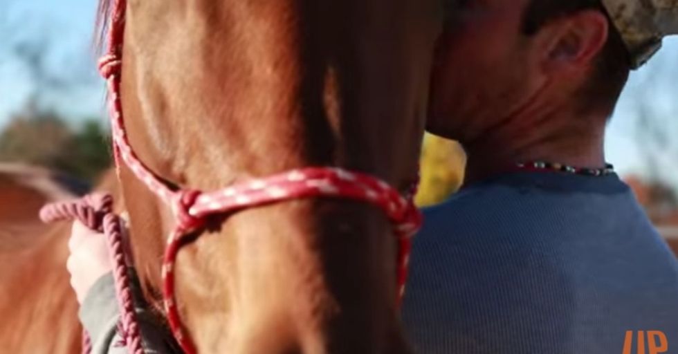 The heartwarming way some veterans are coping with what they saw at war is surprising: horses.