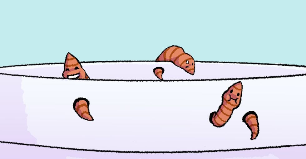 Worms that can eat plastic could save us from destroying the planet.