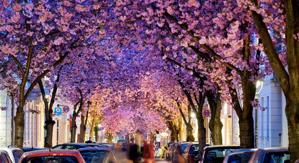 See 9 dazzling photos of the world's most colorful places, including some close to home.